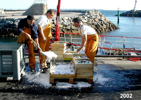 Au port en 2002