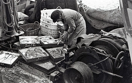 Poisson à bord du Beg En Naud